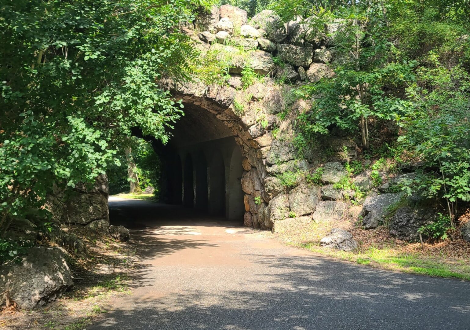 A tunnel with trees and rocks on the side of it.